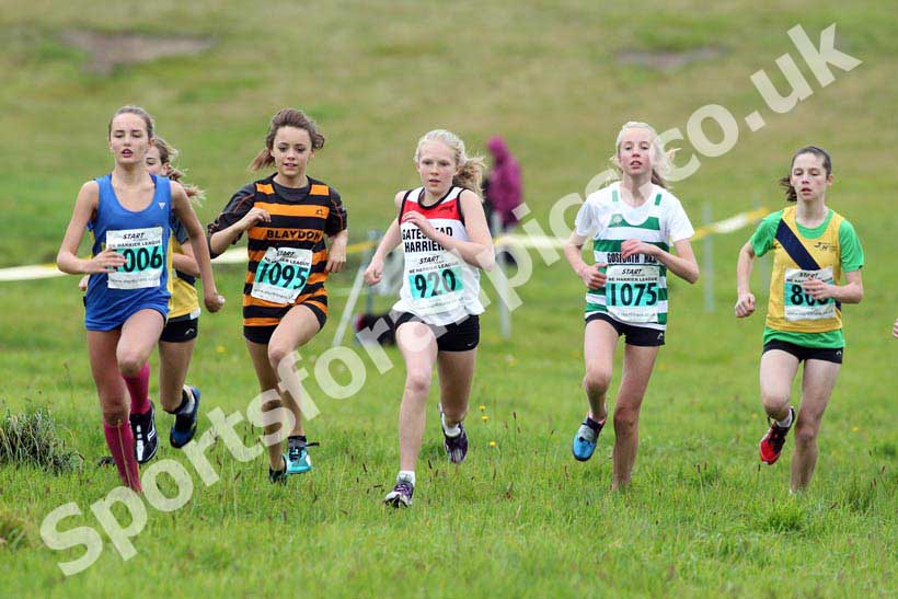 Greens start 2, North-East Harriers League, Cramlington